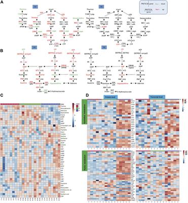 Integrative Metabolomics, Proteomics and Transcriptomics Analysis Reveals Liver Toxicity of Mesoporous Silica Nanoparticles